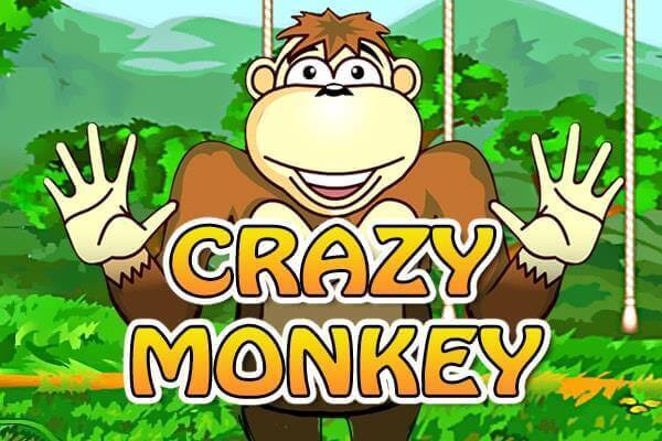 CRAZY MONKEY