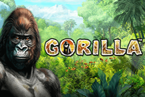 GORILLA DX