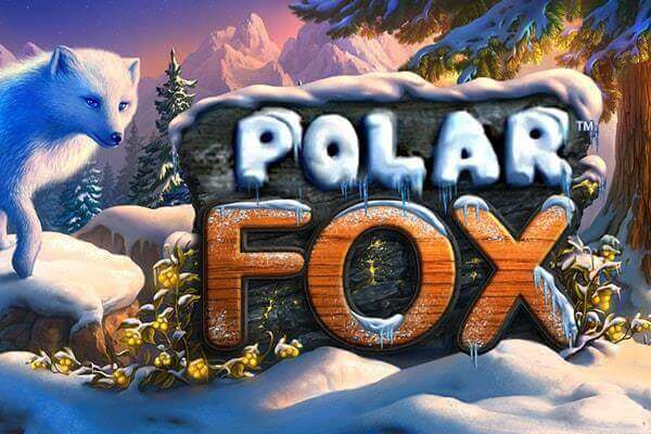 POLAR FOX