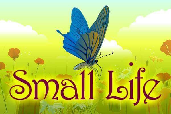 SMALL LIFE