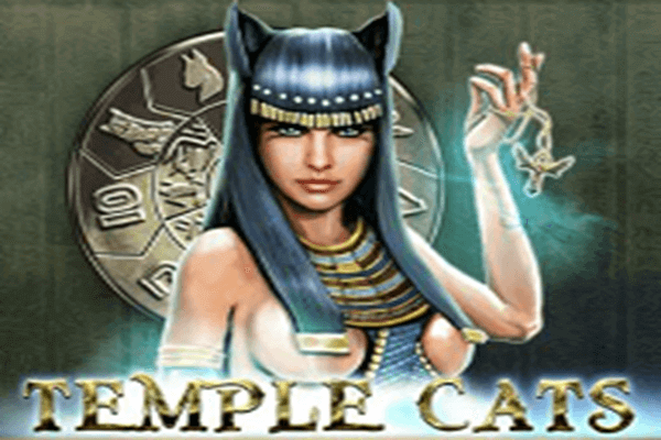 TEMPLE CATS DX